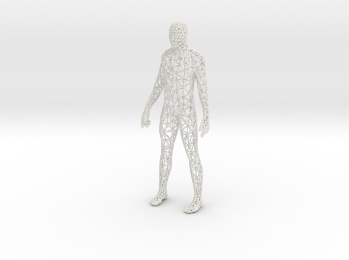 Human Male Triangulated 3d printed 