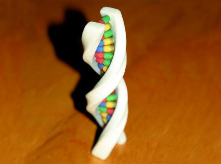 Desktop DNA - color 2 3d printed Photo