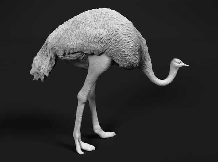 Ostrich 1:20 Head Down 3d printed 