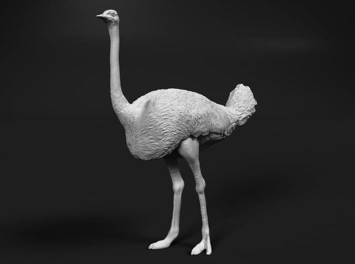 Ostrich 1:20 Standing Calm 3d printed 