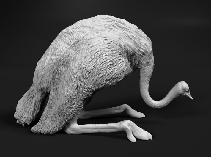 Ostrich 1:12 Guarding the Nest 3d printed