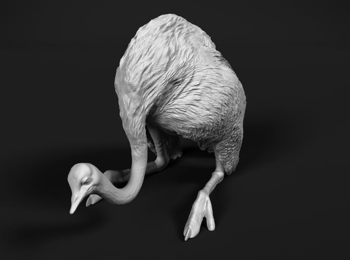 Ostrich 1:12 Guarding the Nest 3d printed 