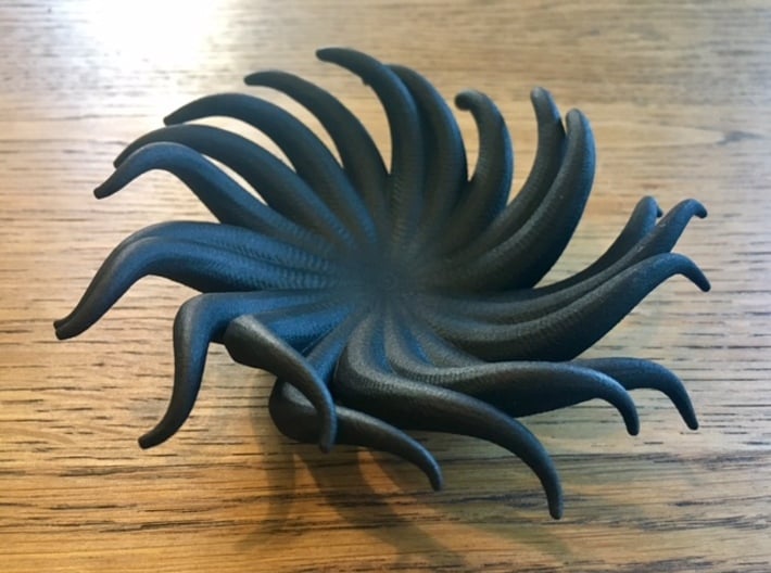 Tentacle Bowl 3d printed Printed Small model in beta material HP Fusion Strong and Flexible Black