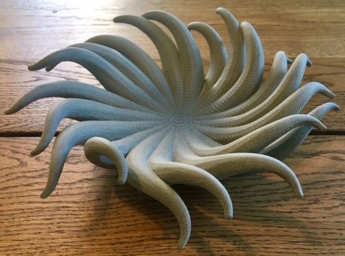 Tentacle Bowl 3d printed Printed Large model in beta material HP Fusion Strong and Flexible Gray
