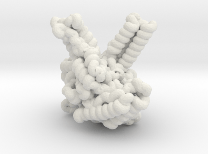 Protein for Lona 3d printed