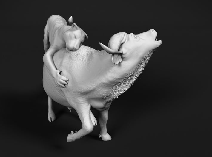 Cape Buffalo 1:20 Attacked by Lions 3d printed 