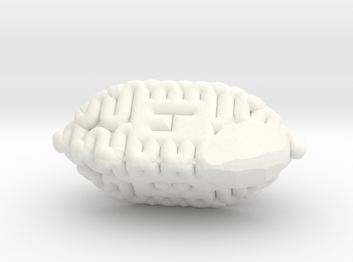 Brain d4 3d printed 