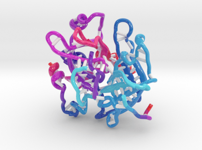 Serine Protease 3d printed