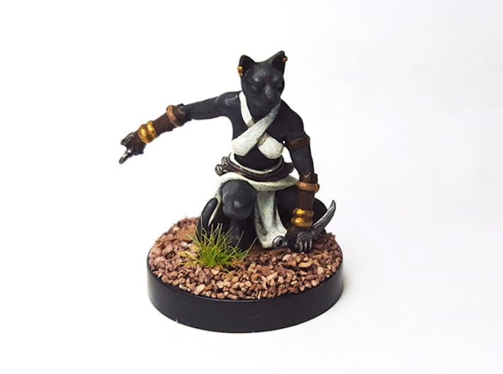 Tabaxi Rogue (Female) 3d printed Painted with acrylic paints and amounted on a custom 1 inch base.