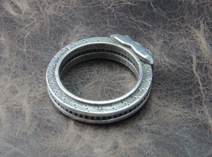 Disc brake Ring 3d printed This material is Polished Silver , Patinated with bleach