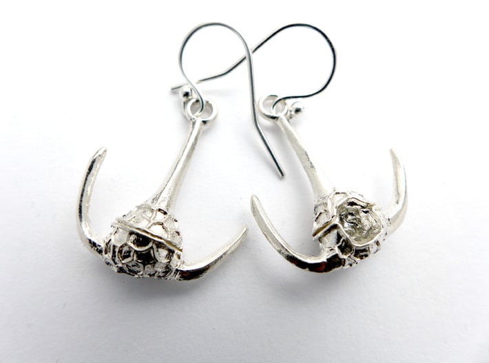 Ceratium Dinoflagellate Earrings 3d printed Ceratium Dinoflagellate Earrings in raw  silver