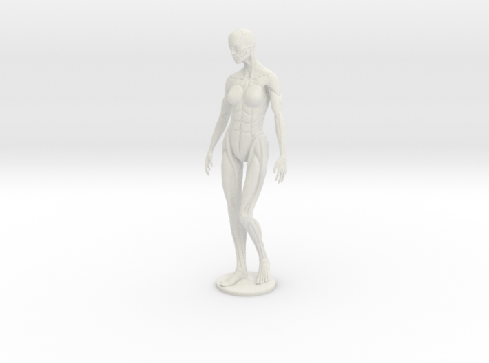 Female form robotic anatomy 12cm 3d printed 