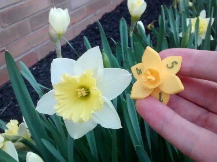 Daffodil D6 3d printed Art imitates life.