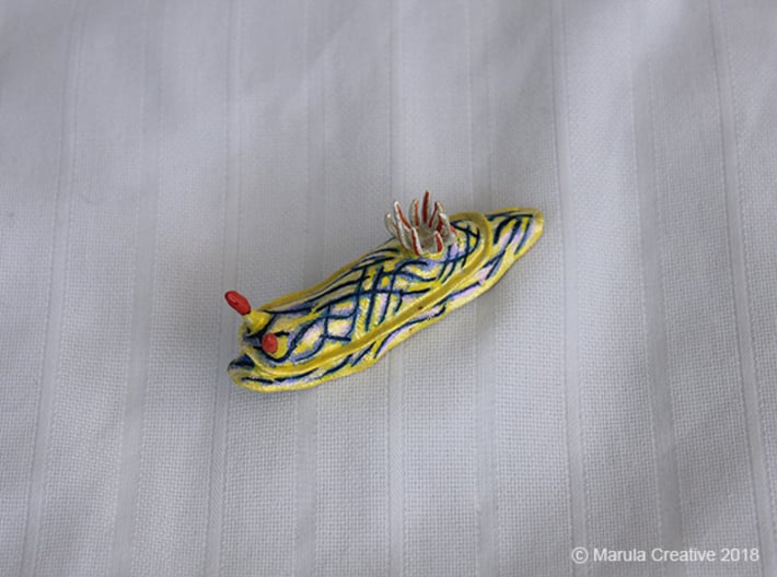Riata the Nudibranch - Hypselodoris nigrostriata 3d printed Hand painted white strong & flexible polished