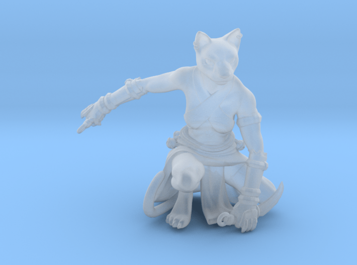 Tabaxi Rogue (Female) 3d printed 