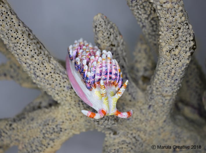Diva the Nudibranch 3d printed Hand Painted White Strong & Flexible Polished
