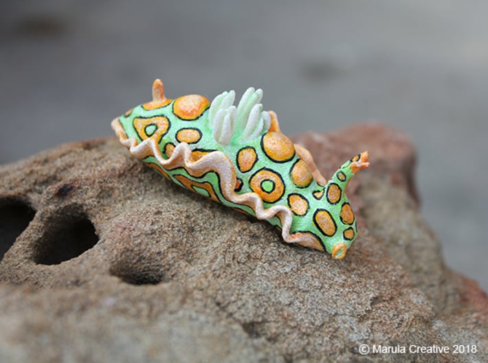 Mino the Batwing Nudibranch 3d printed Hand Painted White Strong & Flexible Polished
