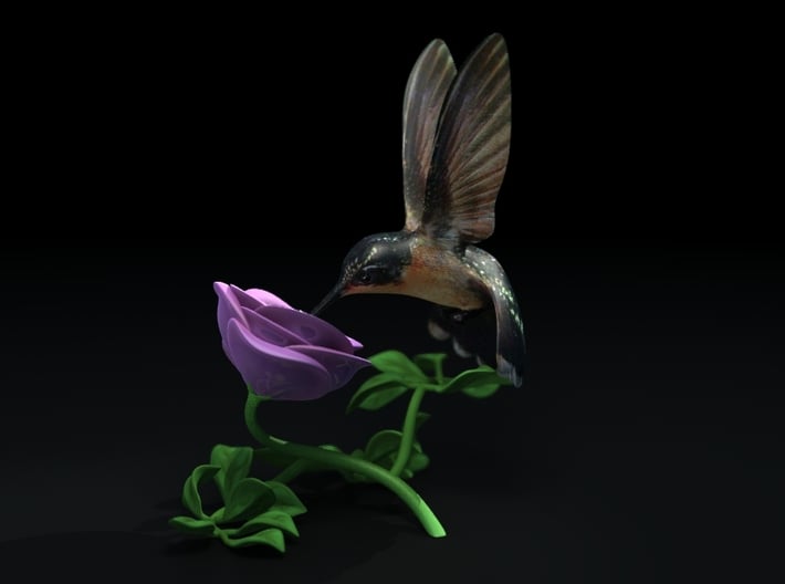 Hummingbird And Rose (4&quot; tall) 3d printed