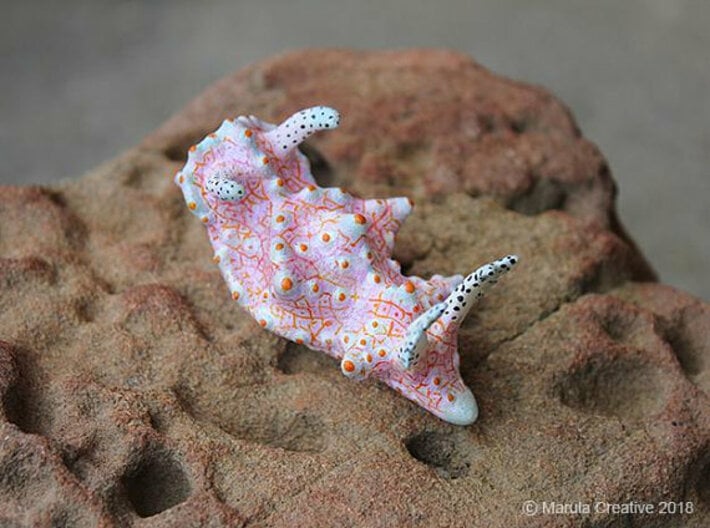 Halgerda batangas the Nudibranch 3d printed Hand Painted White Strong & Flexible Polished
