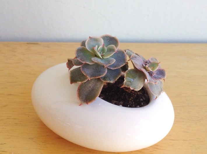 Oval Succulent Planter 3d printed 