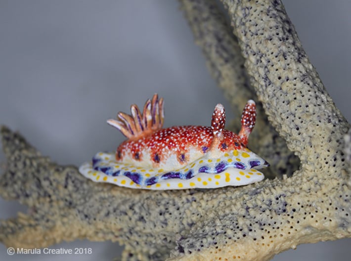 Woodi the Nudibranch 3d printed Hand Painted White Strong &amp; Flexible Polished