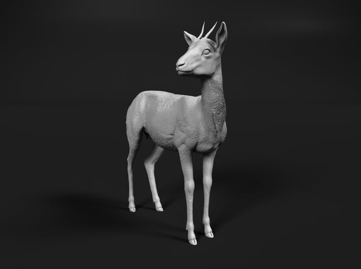 Thomson's Gazelle 1:87 Standing Female 3d printed 