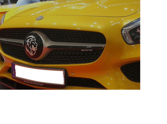 Mercedes AMG GT Grill Star Emblem Lion 3d printed 