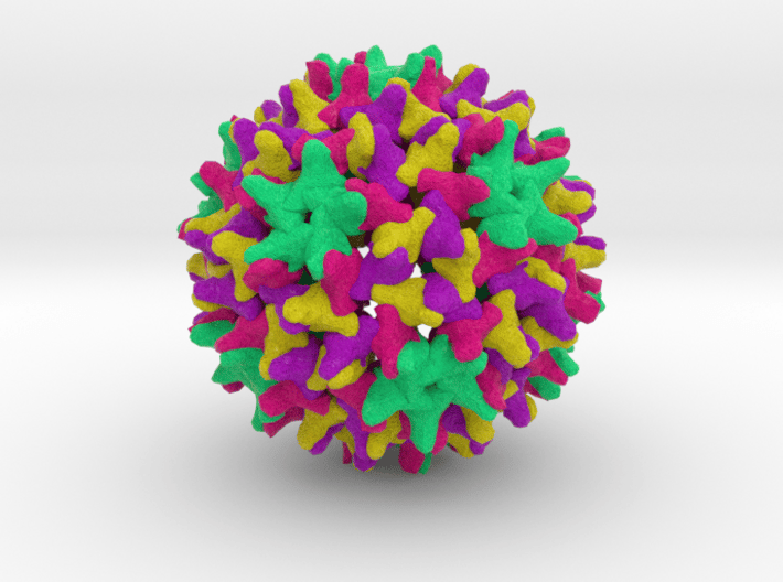 Hepatitis B 3d printed 