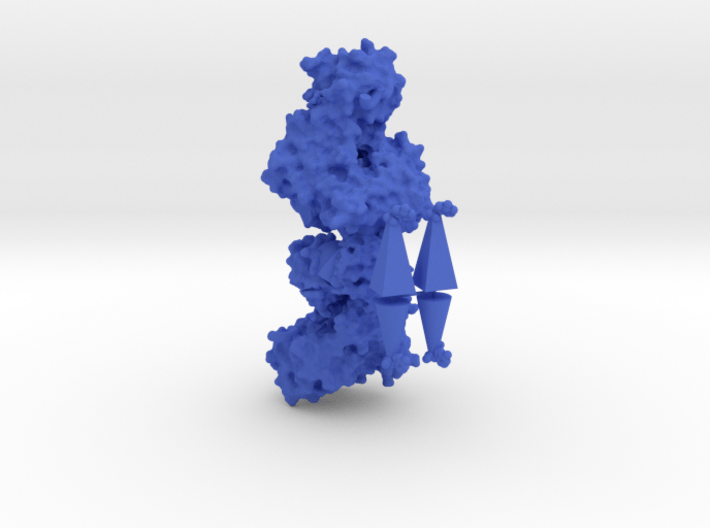 Human Hexokinase I - Allosteric regulation model 3d printed