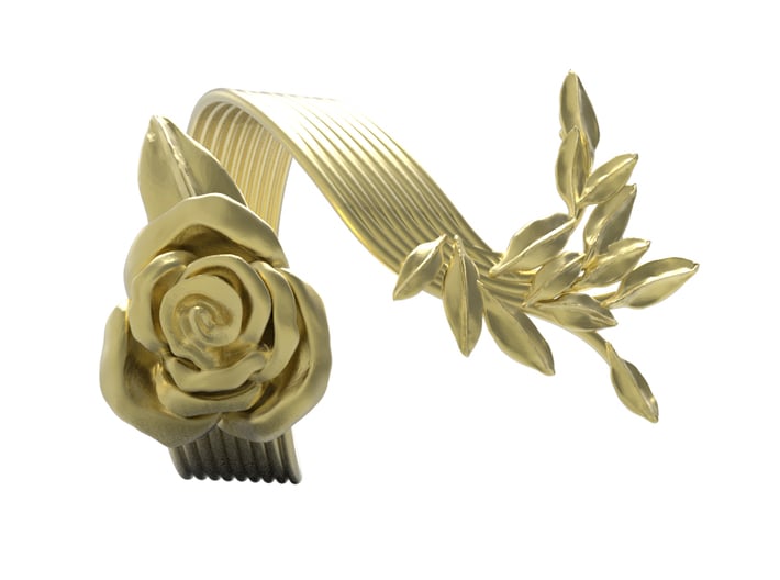 Fantasia_spiral: la Rose et Daphne 3d printed 