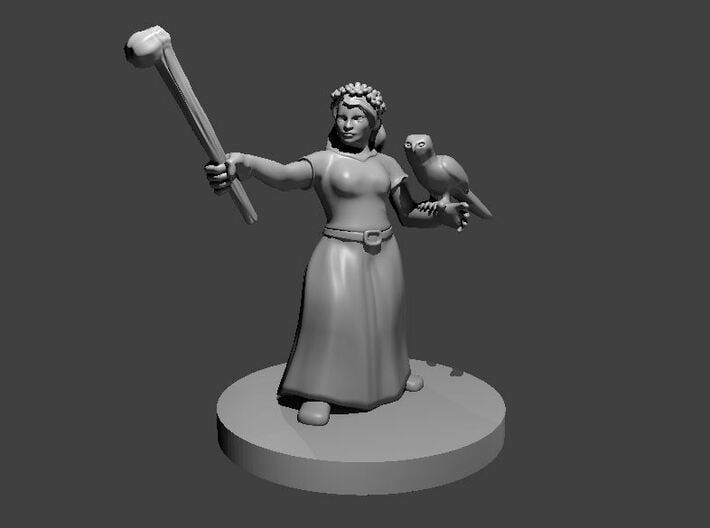 Dwarf Female Druid 3d printed 