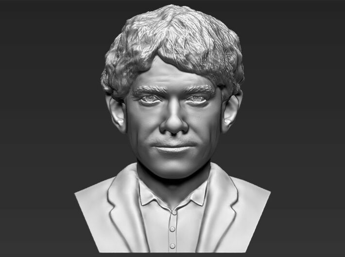 Bilbo Baggins from the Hobbit bust 3d printed 