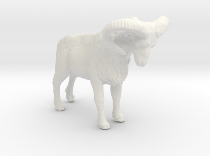 O Scale (1:48) Bighorn Sheep Ram 3d printed