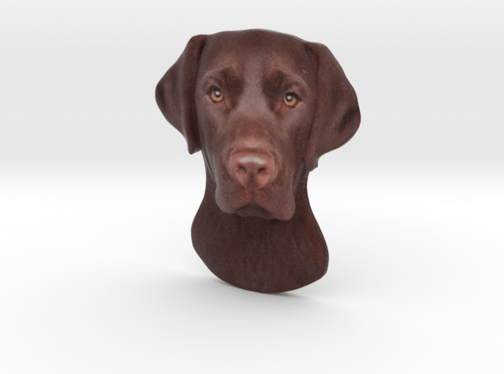 Reliëf / Brown Labrador / 180mm / art.#MK014 3d printed