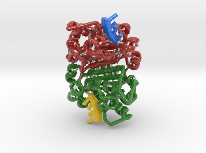 TREX1 with DNA (Large) 3d printed 
