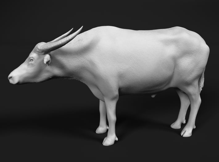 Domestic Asian Water Buffalo 1:60 Standing Male 3d printed 