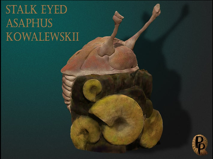 Stalk Eyed Asaphus Kowalewskii 3d printed