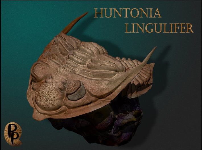 Trilobite -Huntonia Lingulifer with Ammonite stand 3d printed 
