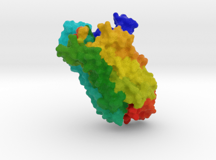 Encephalopsin Protein 3d printed 