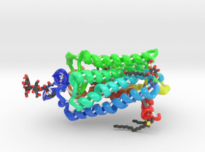 Encephalopsin Protein (Large) 3d printed 