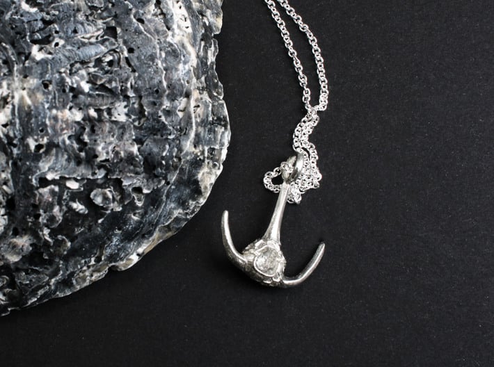 Ceratium Dinoflagellate Pendant - Science Jewelry 3d printed Ceratium Dinoflagellate Pendant in natural silver
