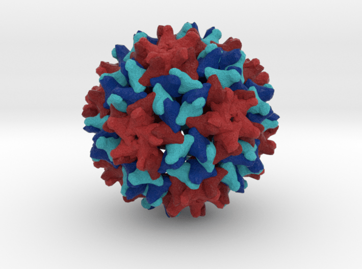 Woodchuck Hepatitis Virus 3d printed