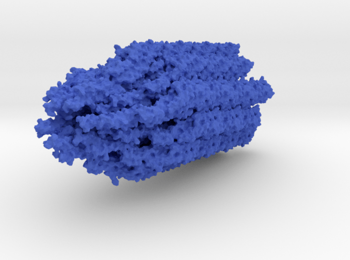 Flagella Base Model 3d printed