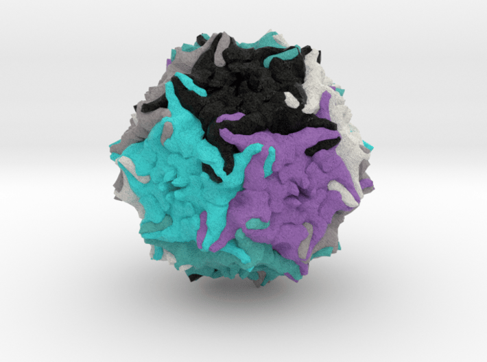 Adeno-Associated Virus 5 3d printed