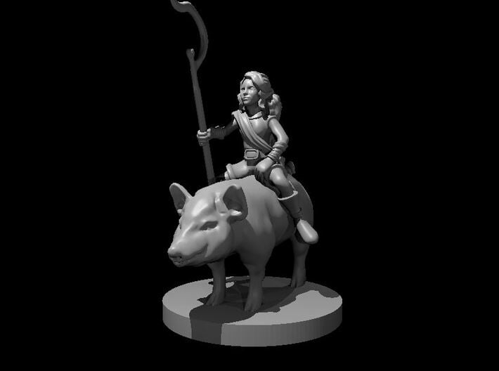 Halfling Female Druid riding a Pig 3d printed