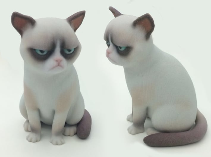 Grumpy Cat 3d printed 