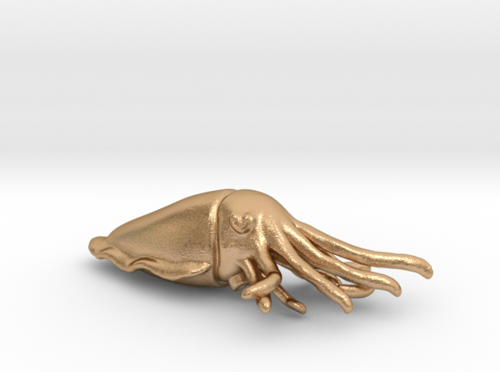 Cuttlefish Pendant or Brooch 3d printed 