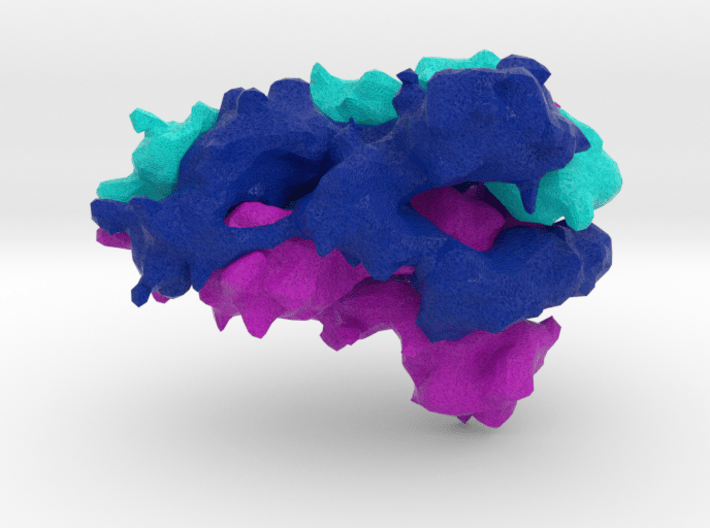 CoVID19 Spike Glycoprotein 3d printed 
