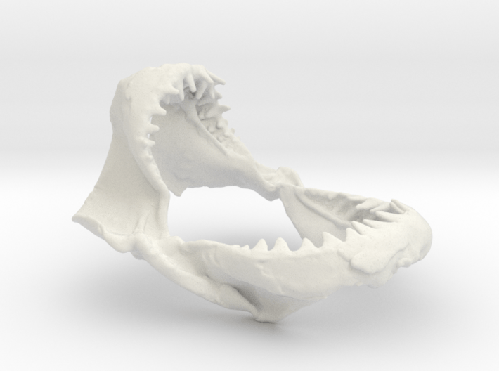 White Shark Jaw 3d printed