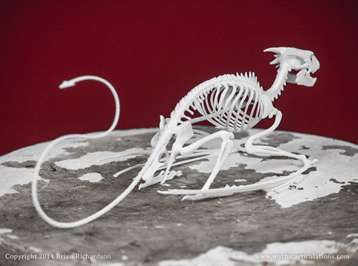 Horned Wyvern Skeleton 3d printed 